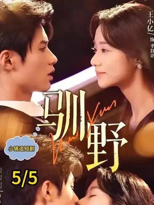 暗巷灯火全集在线看
